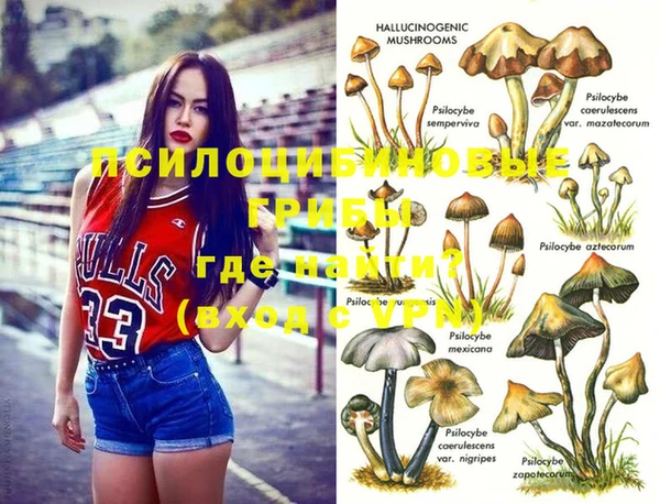 прущий лед Алексеевка